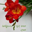 엄상익 변호사 에세이 - 내 엄마였어서 사랑해&오늘 함께 한 음악 특별합니다 이미지