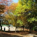 대구농업마이스터고등학교 이미지