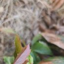 용방면사무소 이미지