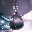 인아웃복싱 이미지