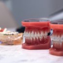 탑플랜치과의원 이미지