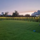 대박펫살롱 이미지