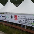 신토불이약초·채소 | 제천힐링음식페스티벌 2016제천한방바이오박람회. 제천 대표 먹거리를 한자리에 제천 여행