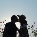 헤세드 - 용산구 청파로47길 34-2 | 헤세드