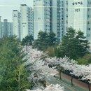 차카(chaka) | [동탄::반월동] 동탄2 차카스튜디오와 함께한 필라테스 강사 프로필 촬영 후기