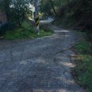 선산대로12-13 이미지