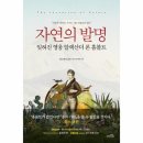 훔볼트