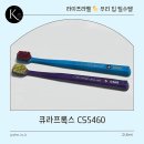 코리아(korea)치과기공소 | 큐라프록스 CS5460