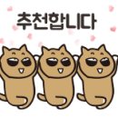 양지말길 이미지