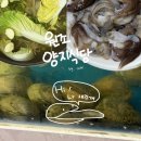 양지초장 | 천안 쌍용동 새조개 샤브샤브 :: '원조양지식당', 봄에만 나오는 제철 해산물