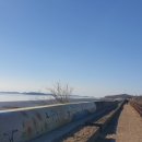 시절 인연 이미지