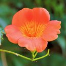 뚝섬한강공원-28 이미지