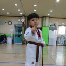 신흥 태권도 이미지