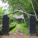 자작나무 조형물 이미지