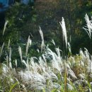 극단 파란마음 이미지