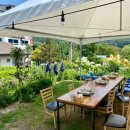 엄마손태백물닭갈비 이미지