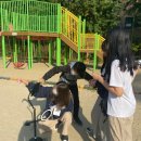 청소년입장지대 고척신나구로(분소) 이미지