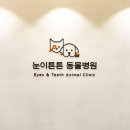 튼튼동물치과병원 이미지