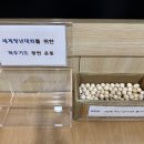 [알림]2027년 서울 세계청년대회(World Youth Day)를 위한 묵주기도 봉헌 운동 안내 이미지