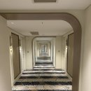 그랜드오션 | 해운대 호텔 추천 그랜드 조선 부산 객실 후기｜패밀리 스위트 오션뷰