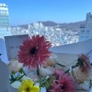 셉템버선셋