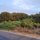 현산면 구시리 ~ 장고개 이미지