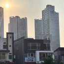 내친구카샵 | 🚗🫧[카샵 초곡점: 포항초곡세차, 포항스팀세차] 디테일링 세차 후기