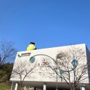 한밤실마을 | 경북영주가을여행 2025년의 기록