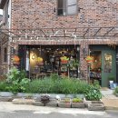 향기나무 이미지