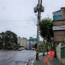 새건우약국 이미지