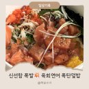 강동구 육회란연어다 점심 후기 🍣 프리미엄 육회연어 폭탄덮밥 추천👍