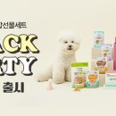 파티가 티스토리