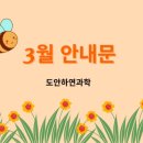 도안하연과학