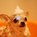 용머리공인중개사사무소 이미지