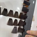 화미주아티클헤어범어롯데 네이버블로그