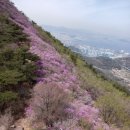 [푸른산악회] 4월1일(토요일) 여수 영취산 진달래꽃 산행 이미지
