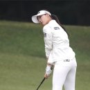 한아름식품