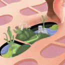 COZY PC방 | 야작하고 놀고 밤새는•••