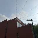 6856 | [대전 유성구 카페]-숲멍하기 좋은 대형카페 레포레스트
