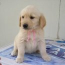 두아름농장 이미지