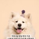 스튜디오펀