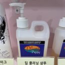 천사펫하우스 이미지