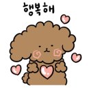 아이세이버 안경 울산점 이미지