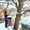 고산서당 | [옥천여행 가볼 만한 곳] &#34;이지당&#34; 충북 성리학의 성지