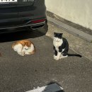 광장치과재료 | [11월말~12월 중간결산] 아 완전 맛있어 깃쫄깃쫄