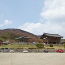 황토코뚜레
