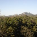 석관초등학교 이미지