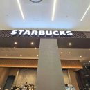 매일카프라자 이미지