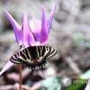 힐링 생활 꽃장식 이미지