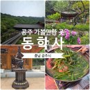 금강교옆 공원 | 충남 공주 가볼 만한 곳 계룡산 국립공원 동학사 사찰과 근처 전주식당 닭백숙 후기